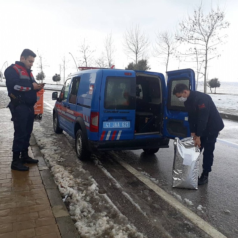 Karamürsel Jandarma ekipleri sokak hayvanları için doğaya mama bıraktı
