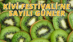 Yalova Subaşı Kivi Festivali, 7-8 Ekim 2023 tarihleri arasında gerçekleştirilecek