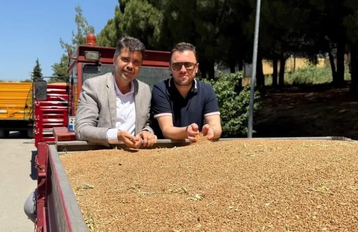 TMO’dan Rekor Buğday Alımı: Depolar Doldu