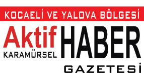Mega Haber Yazılımı Portalı