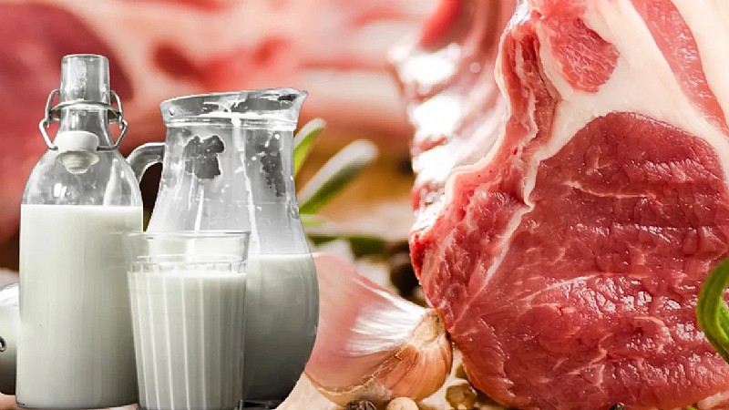 Et ve süte dokunmak çok zor