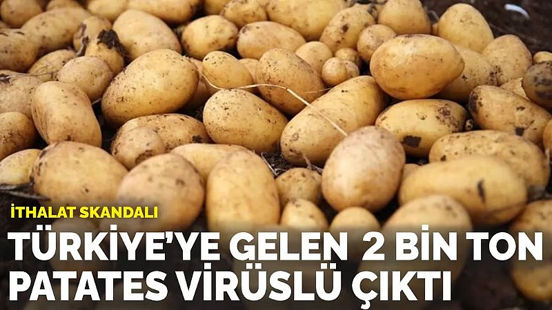 Yurt dışından ithal gelen 2 bin tondan fazla patateste 2 farklı virüs tespit edildi