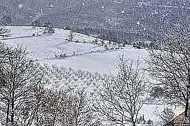 Meteoroloji'den Kocaeli'ye kar uyarısı!