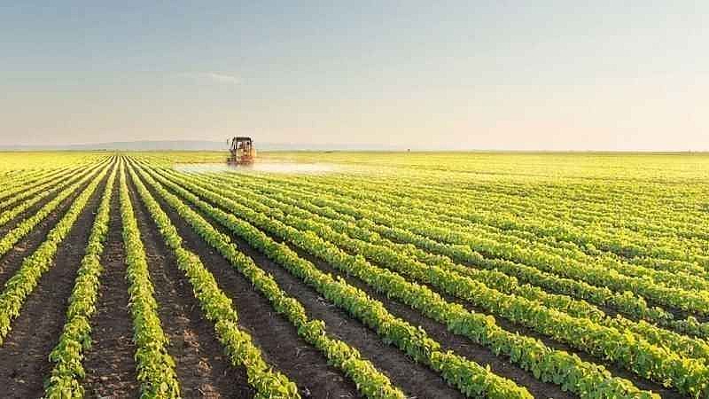 Kocaeli ile Karamürsel’in 2027 tarım haritası belli oldu