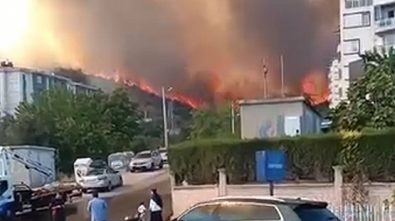Kocaeli Derince’deki orman yangını yerleşim yerlerine sıçradı! Evler tahliye edildi