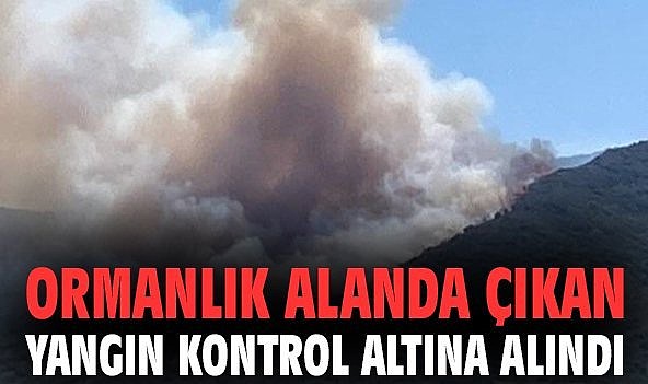 Karamürsel'de çıkan orman yangını kontrol altına alındı