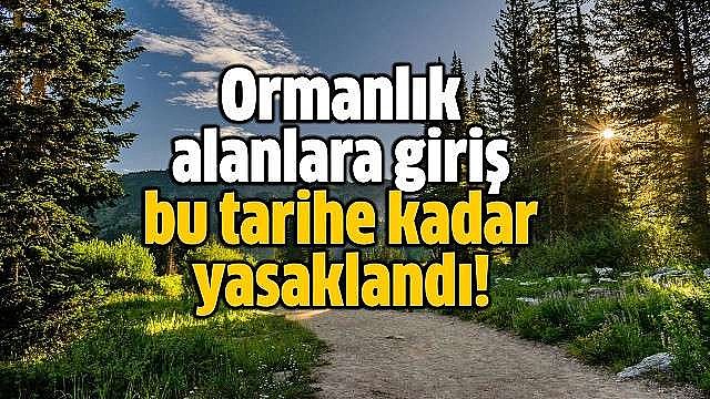 Ormanlık alanlara girişler yasaklanıyor