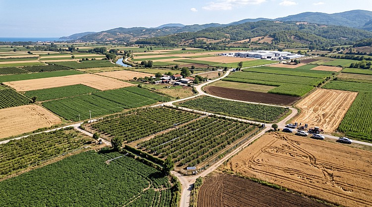 Altınova’da 1.700 Dekarlık Tarım Arazisi ,İmara’ mı Açılıyor?