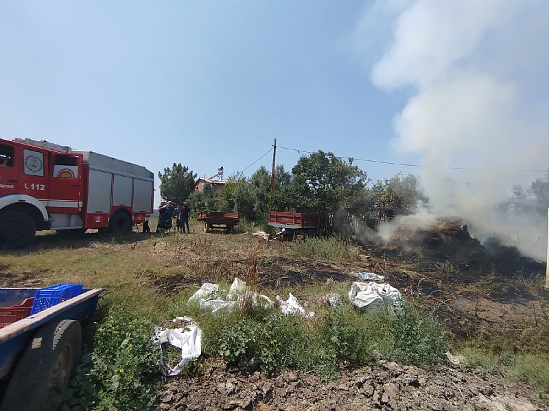 Altınova'da arazi yangını	