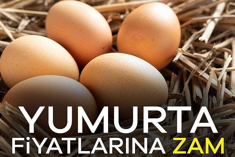 Yumurta fiyatlarına zam geldi!